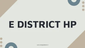 E District HP