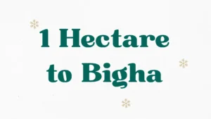 1 Hectare to Bigha