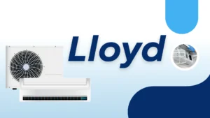 Lloyd Which Country Brand