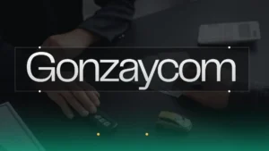 Gonzaycom About us